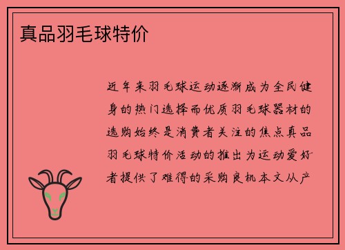 真品羽毛球特价