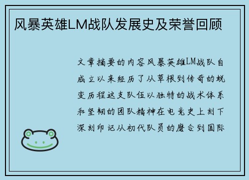 风暴英雄LM战队发展史及荣誉回顾